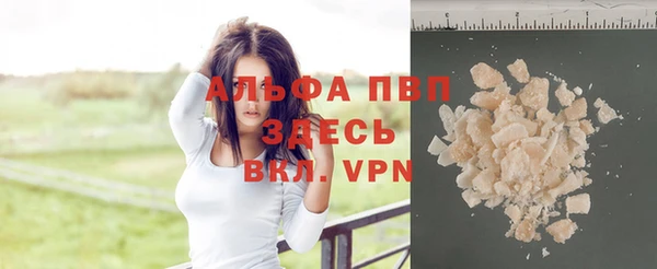 ГАЛЛЮЦИНОГЕННЫЕ ГРИБЫ Белокуриха